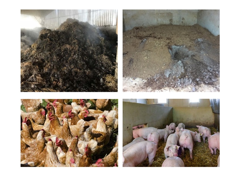 Une biotechnologie rustique, déjà industrialisée et très bas coût